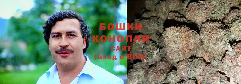 Конопля OG Kush  Гусиноозёрск 